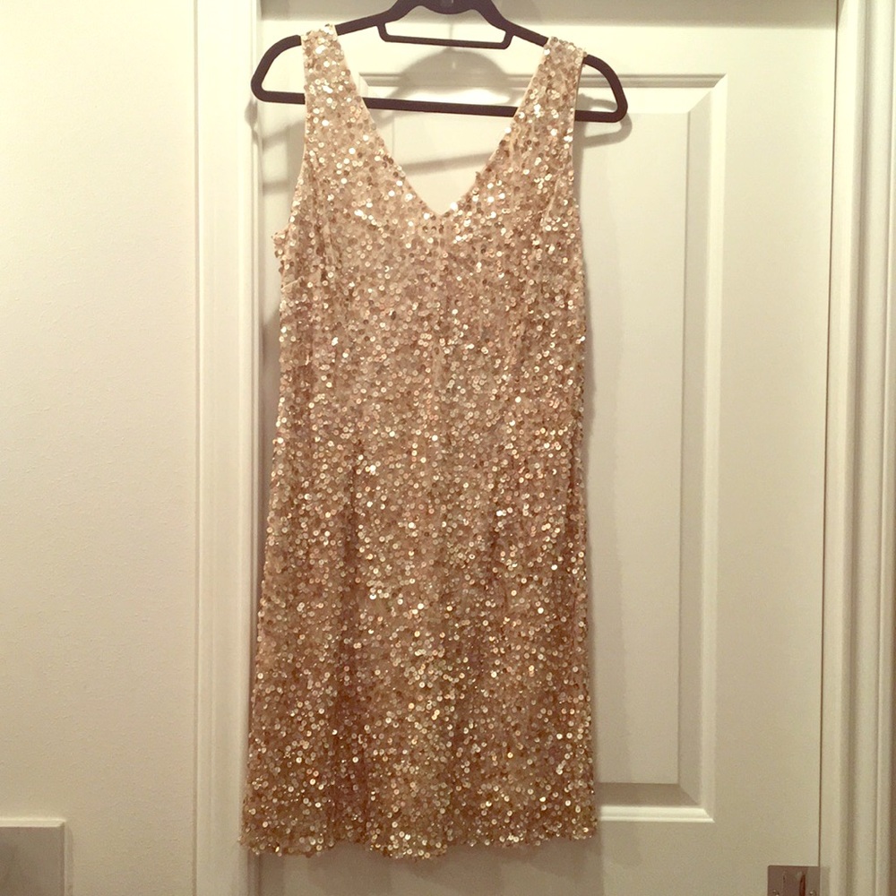 Gorgeous sequined dress!